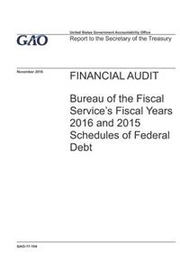 Financial Audit