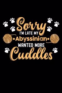Sorry I'm Late My Abyssinian Wanted More Cuddles