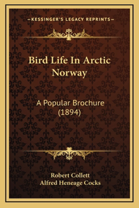 Bird Life In Arctic Norway