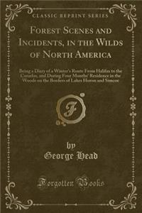 Forest Scenes and Incidents, in the Wilds of North America: Being a Diary of a Winter's Route from Halifax to the Canadas, and During Four Months' Residence in the Woods on the Borders of Lakes Huron and Simcoe (Classic Reprint)