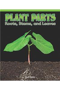 Plant Parts: Roots, Stems, and Leaves