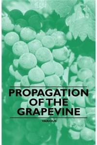 Propagation of the Grapevine