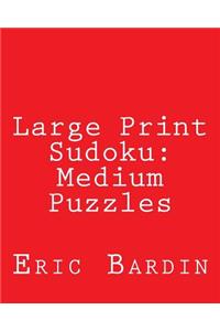 Large Print Sudoku