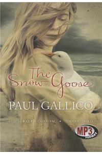 Snow Goose