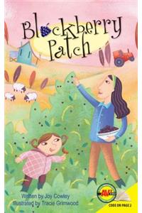 Blackberry Patch