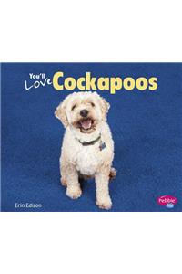 You'll Love Cockapoos