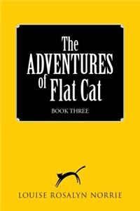 ADVENTURES of Flat Cat