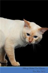 Mekong Bobtail Cat Presents