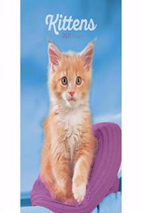 KITTENS A5 DIARY 2021