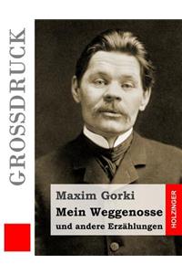 Mein Weggenosse und andere Erzählungen (Großdruck)