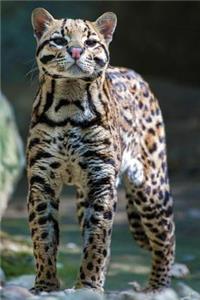 Ocelot Any Day Planner Notebook