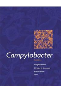 Campylobacter