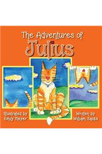 The Adventures of Julius