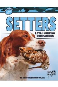 Setters