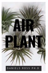 Air Plant
