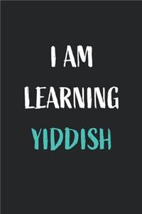 I am learning Yiddish