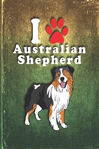 Australian Shepherd