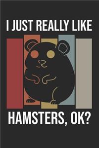 I Just Really Like Hamsters, OK?