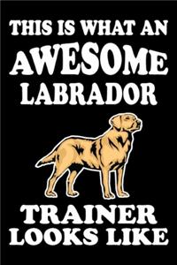 This is what an awesome Labrador Trainer Looks Like