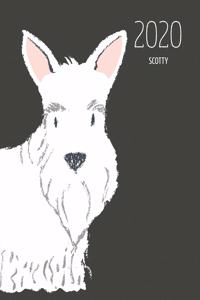 2020 Scotty