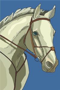 2020 Weekly Planner Horse Photo Equine Bridled Grey 134 Pages