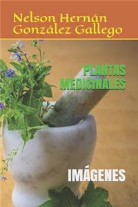 Plantas Medicinales