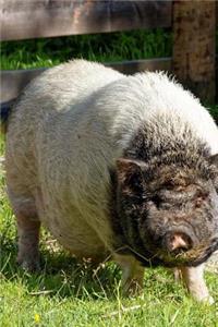 World's Cutest Animal Pig Journal