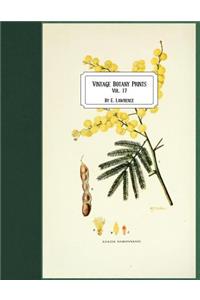 Vintage Botany Prints