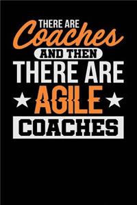 There Are Coaches and Then There are Agile Coaches