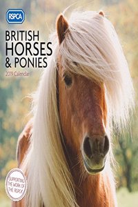 BRITISH HORSES RSPCA W 2019
