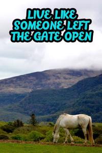 Live Like Someone Left the Gate Open