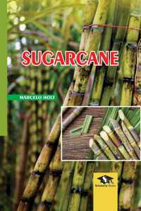 Sugarcane