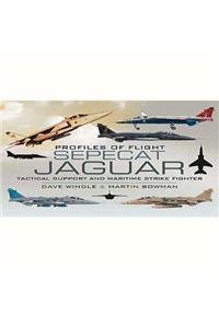 Sepecat Jaguar: Profiles of Flight