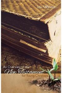 An Overview of the New Testament for Young Christians