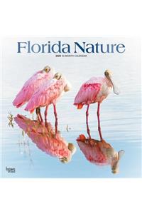 Florida Nature 2020 Square Foil