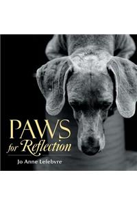 Paws for Reflection