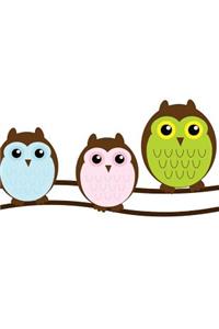 Cute Owl Journal