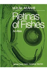 Retinas of Fishes