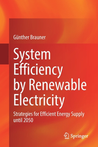 System Efficiency by Renewable Electricity