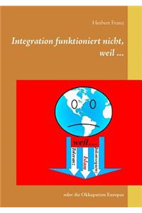 Integration funktioniert nicht, weil ...