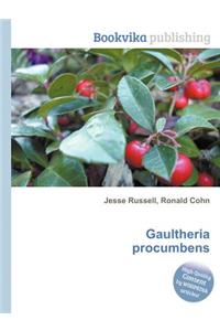 Gaultheria Procumbens