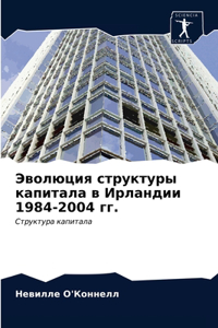 Эволюция структуры капитала в Ирландии 1984-2004 