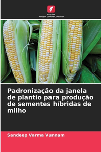 Padronização da janela de plantio para produção de sementes híbridas de milho
