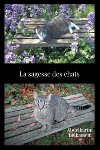 sagesse des chats