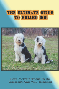 The Ultimate Guide To Briard Dog