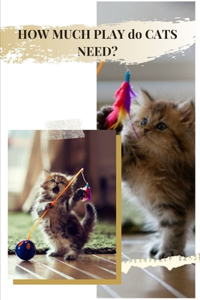 HOW MUCH PLAY dо CATS NEED?