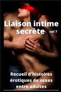 Liaison intime secrète (vol 7)