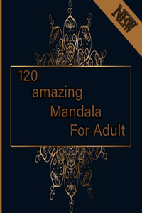 120 amazing mandala for adults