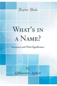 What's in a Name?: Surnames and Their Significance (Classic Reprint): Surnames and Their Significance (Classic Reprint)