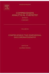 Comprehensive Two Dimensional Gas Chromatography